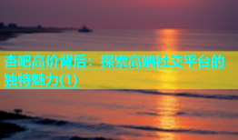 杏吧高价背后：探索高端社交平台的独特魅力(1)