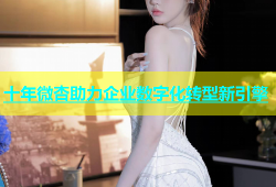 十年微杏助力企业数字化转型新引擎