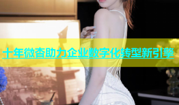 十年微杏助力企业数字化转型新引擎