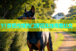 91杏吧传媒热门探花在线观看社交