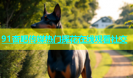 91杏吧传媒热门探花在线观看社交