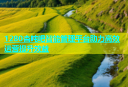 1280杏吨吧智能管理平台助力高效运营提升效益