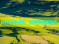 独特媒体视角，解锁杏吧新篇章