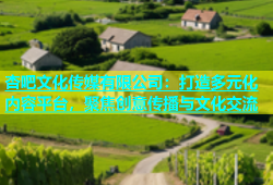 杏吧文化传媒有限公司：打造多元化内容平台，聚焦创意传播与文化交流