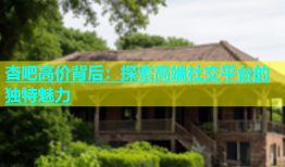 杏吧高价背后：探索高端社交平台的独特魅力