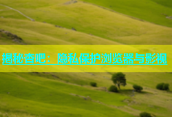 揭秘杏吧：隐私保护浏览器与影视