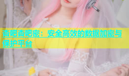 杏吧杏吧密：安全高效的数据加密与保护平台