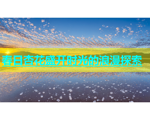 春日杏花盛开时光的浪漫探索