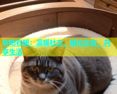杏吧春暖：温暖社交，轻松交友，共享生活