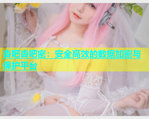 杏吧杏吧密：安全高效的数据加密与保护平台