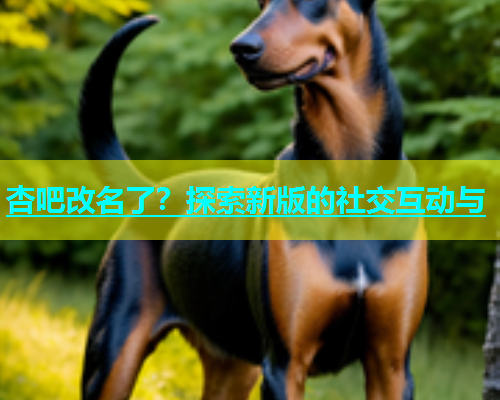 杏吧改名了？探索新版的社交互动与