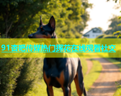 91杏吧传媒热门探花在线观看社交